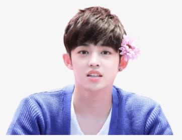 Coups Flower In Hair - S Coups Seventeen Png, Transparent Png, Free Download