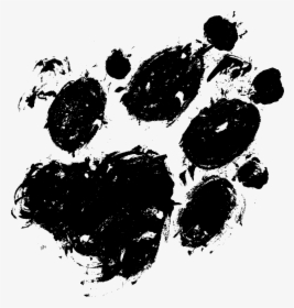 Transparent Real Paw Print, HD Png Download, Free Download