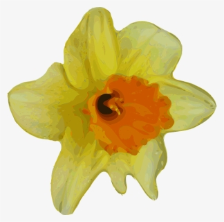 Daffodil Flower Png Image - Small Transparent Flower Yellow, Png Download, Free Download