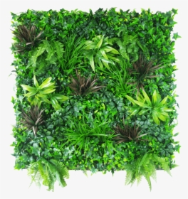 Coastal Greenery Vertical Garden - Green Wall Png, Transparent Png, Free Download