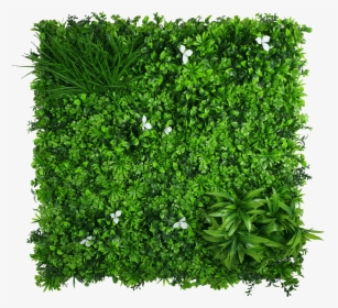 Artificial Green Wall Sheets, HD Png Download, Free Download