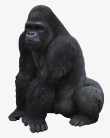 Best Free Gorilla Png Image Without Background - Gorilla Png, Transparent Png, Free Download
