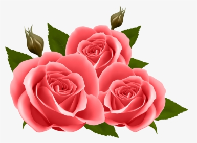 Transparent Red Roses Clipart - Transparent Pink Roses Png, Png Download, Free Download