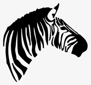 Zebra Head - Clipart Zebra Head, HD Png Download, Free Download