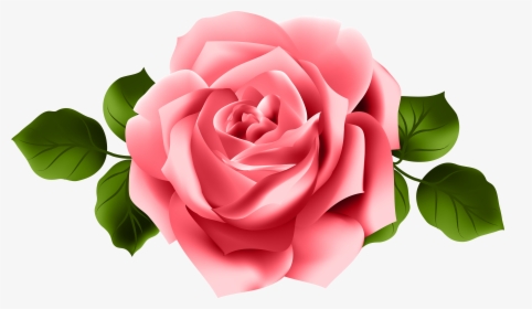 Rose Clip Art - Pink And Red Roses Png, Transparent Png, Free Download