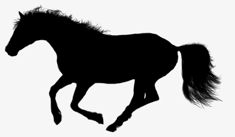 Animal, Equine, Galloping, Horse, Silhouette, Ride - Dog Clipart Black, HD Png Download, Free Download