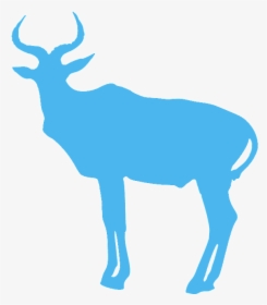 Antelope, HD Png Download, Free Download