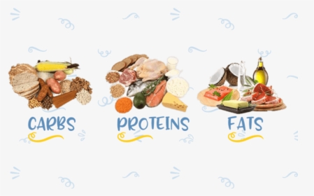 What Are Macronutrients And - Three Macronutrients, HD Png Download, Free Download