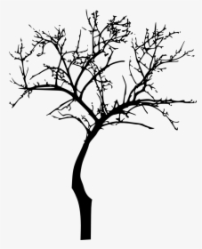 Plant Silhouette 1png - Transparent Background Bare Tree Png, Png Download, Free Download