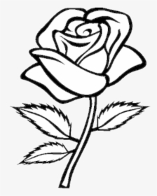 Rose Image Of Clip Art Red Roses Images Free Transparent - Rose Clip Art, HD Png Download, Free Download