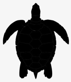 Sea Turtle Silhouette Png, Transparent Png, Free Download
