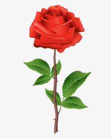 Rose Stem Red Clipart Best Web Transparent Png - Rose Png, Png Download, Free Download