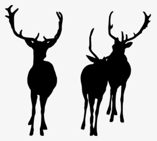 Deer, Herd, Wildlife, Silhouette, Mammal, Animal, Group - Deer Group Silhouette, HD Png Download, Free Download