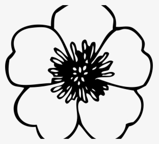 Coloring Page Poppy Flowers Veterans Day Pretty Flower - Black And White Poppy Flower, HD Png Download, Free Download