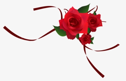 Vertical Vector Rose - Transparent Red Rose Vector, HD Png Download, Free Download