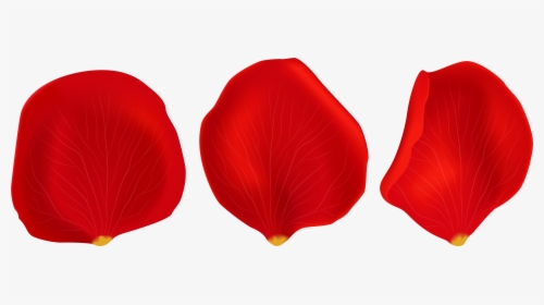 Red Rose Petals Transparent Png Clip Art - Transparent Background Rose Petal Clipart, Png Download, Free Download