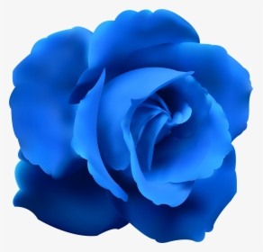 Rose Clip Art Image - Blue Rose Png, Transparent Png, Free Download