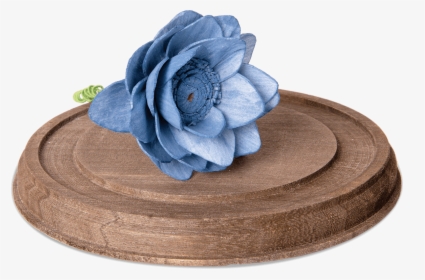 Forever In Bloom - Blue Rose, HD Png Download, Free Download