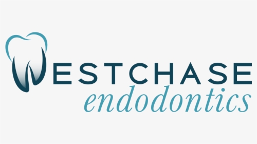 Link To Westchase Endodontics Home Page - Graphics, HD Png Download, Free Download