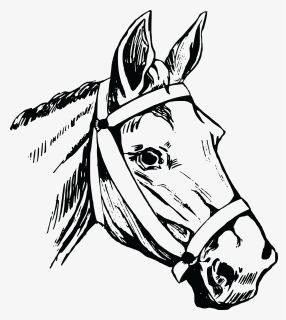Horse Head Mask American Quarter Horse Clip Art - Horse Head Drawing Png, Transparent Png, Free Download
