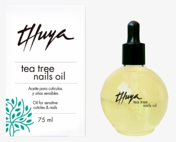 Thuya Tea Tree Oil, HD Png Download, Free Download