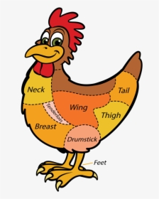 Transparent Getting Dressed Clipart - Different Kind Of Chicken Meat Cuts, HD Png Download, Free Download