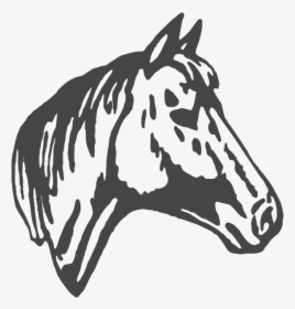 Transparent Horse Head Png - Horse In Horseshoe Clipart, Png Download, Free Download