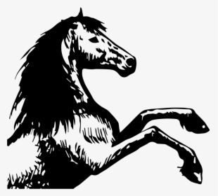 Horse Drawing Facing Right, HD Png Download, Free Download