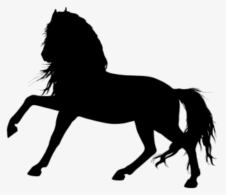 Animal, Equine, Favorites, Horse, Silhouette - Horse Silhouette Transparent, HD Png Download, Free Download