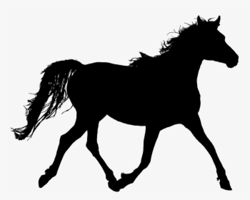 Horse Silhouette Trotting Free Picture - Girl Riding Horse Silhouette, HD Png Download, Free Download