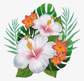Hawaiian Flower Png, Transparent Png, Free Download