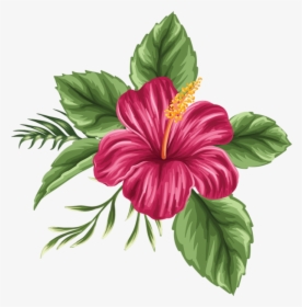 Clip Art Pin By Jadwiga On - Hibiscus Hawaiian Flower Drawing, HD Png Download, Free Download