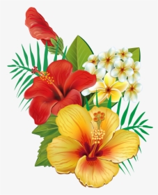 Tropical Flower Png, Transparent Png, Free Download