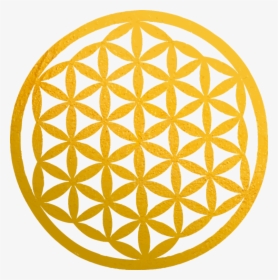 Flower Of Life Blue Vector, HD Png Download, Free Download