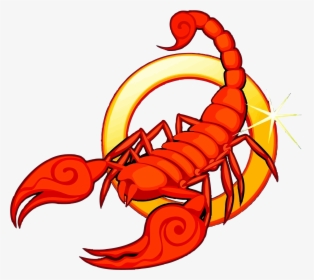 Zodiac Astrological Sign Scorpio Scorpion 10/23 - Scorpio Clipart, HD Png Download, Free Download