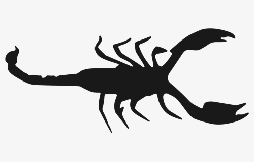 Scorpio, Zodiac, Arachnid, Symbol, Categories - Insect, HD Png Download, Free Download