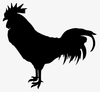 Rooster Silhouette Transparent Background, HD Png Download, Free Download
