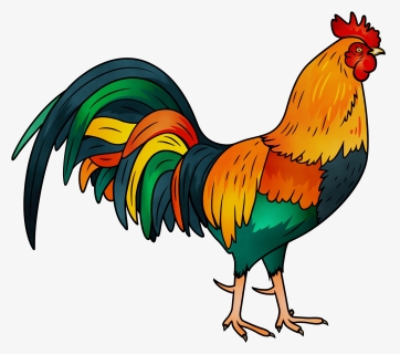 Animal Show Png - Transparent Rooster Png, Png Download - kindpng