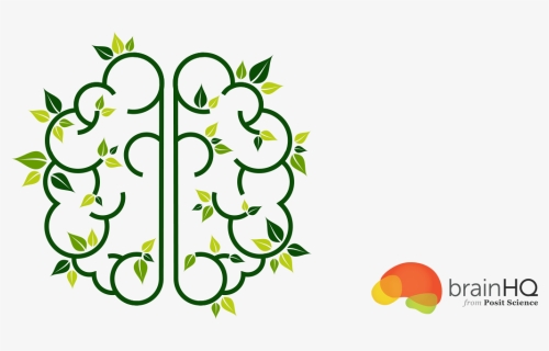 Brain Leaf Silhouette, HD Png Download, Free Download