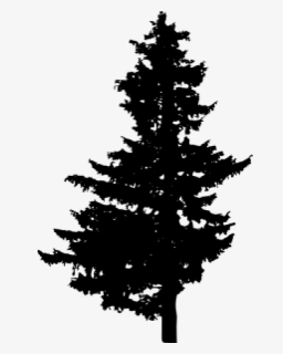 Pine Tree Silhouette Png Images Toppng - Pine Tree Vector Png, Transparent Png, Free Download