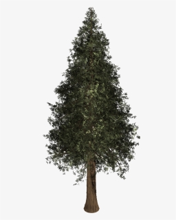 Christmas Day, HD Png Download, Free Download
