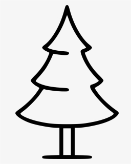 Pine, HD Png Download, Free Download