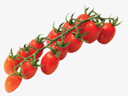 Vittoria Tomatoes Home Eng - Vittoria Tomato, HD Png Download, Free Download
