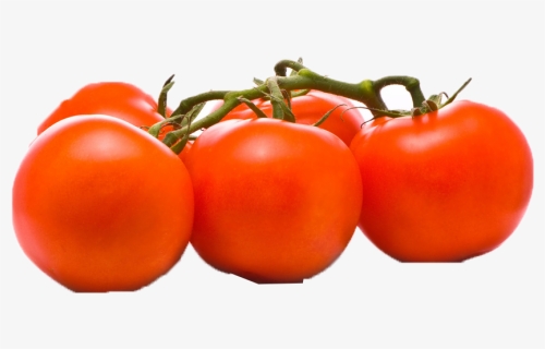 Tomato Png - Plum Tomato, Transparent Png, Free Download