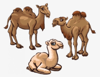 Sitting Camel Png, Transparent Png, Free Download