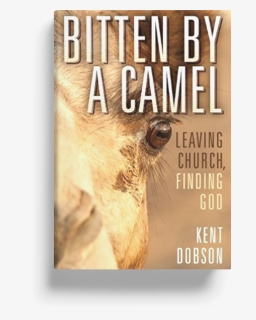 Book Bitten By A Camel - Poster, HD Png Download, Free Download