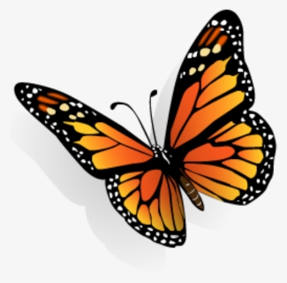 #buterffly #mariposa #mariposas #mariposas❤ #mariposas🦋 - Dibujos De Mariposas En 3d, HD Png Download, Free Download