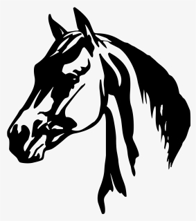 Horse Head Png Clipart - Horse Head Horse Icon, Transparent Png, Free Download