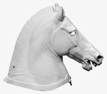 3d Scan Of Horse Head , Png Download - Horse Head 3d Free, Transparent Png, Free Download