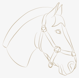 Horse Head Ill - Mane, HD Png Download, Free Download